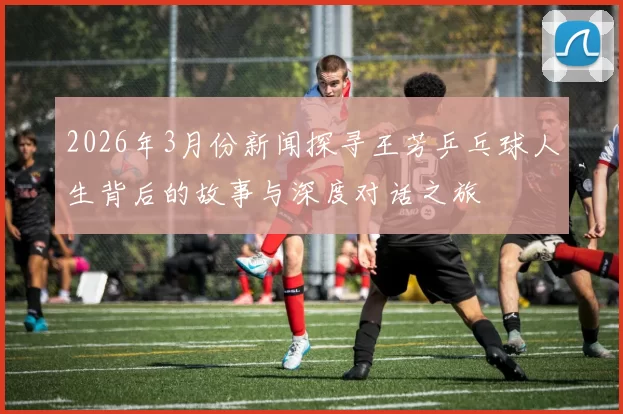 2026年3月份新闻探寻王芳乒乓球人生背后的故事与深度对话之旅